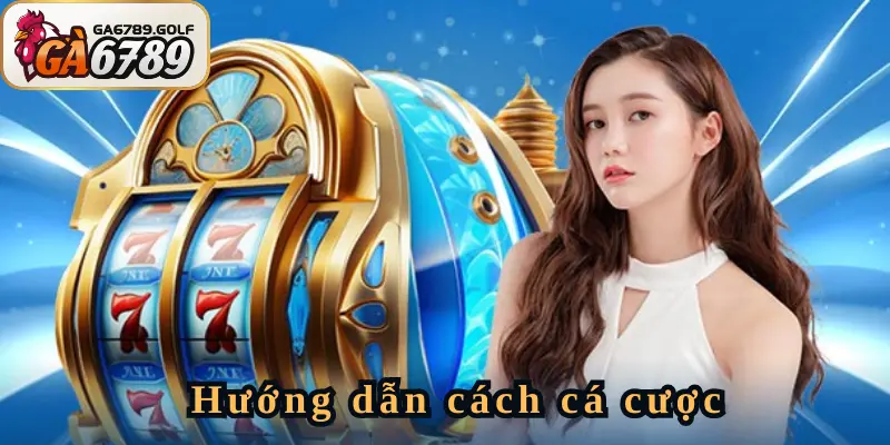 Hướng dẫn