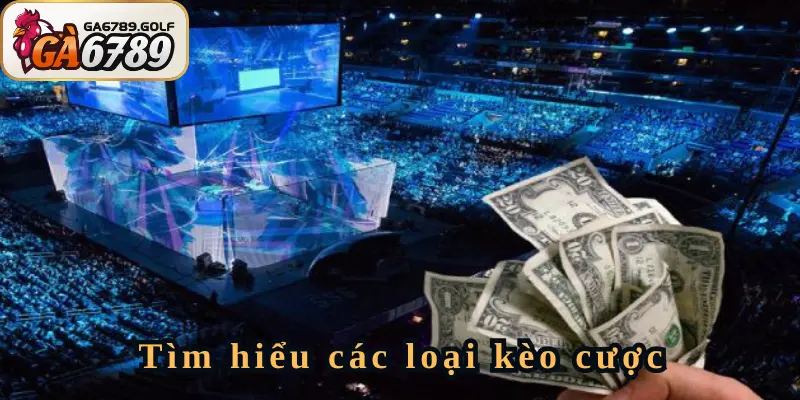 Hướng dẫn